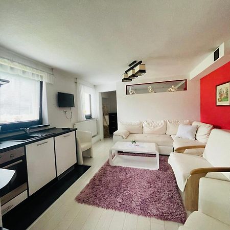 Apartmany Pod Troma Korunami Červený Kláštor Extérieur photo