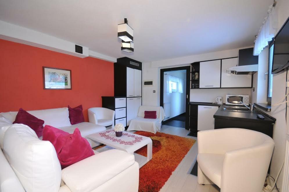 Apartmany Pod Troma Korunami Červený Kláštor Extérieur photo